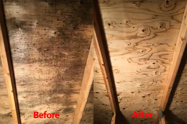water damage restoration service Boardman